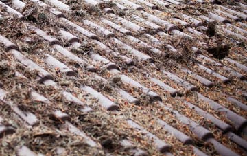 Maylandsea roof cleaning companies